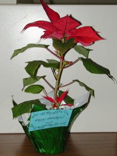 'Tis the season!