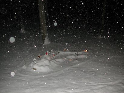 Finally, some snow!
